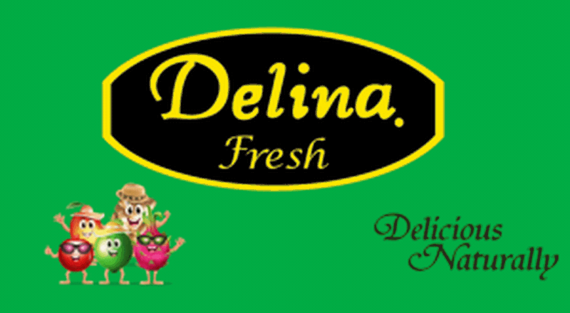 Delina Inc